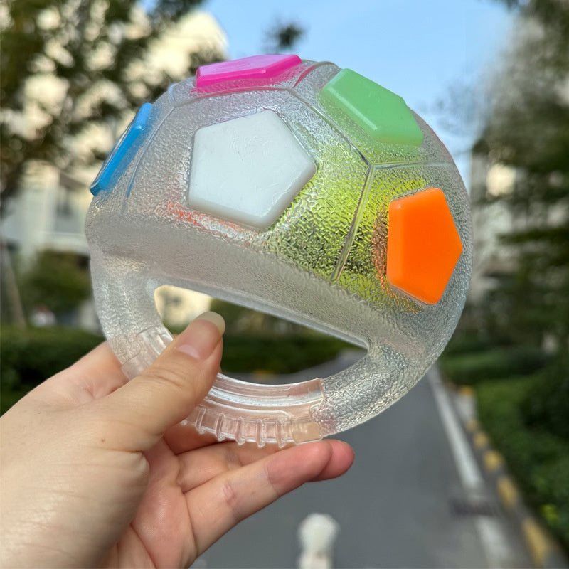 Interactive Pet Toy Ball