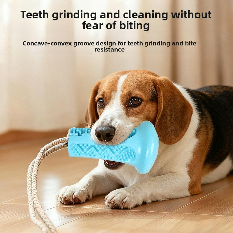 Dog Chew Toy with Suction Cup